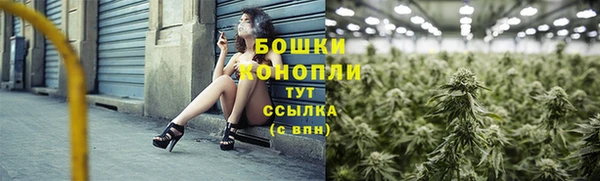трава Медвежьегорск
